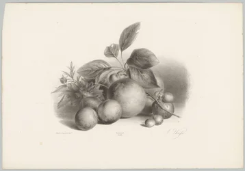 Virágok, nektarin és mogyoró Flower and Fruit Studies (...) 10. epizód (sorozat címe)