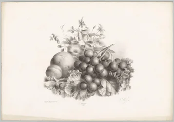Virágok, őszibarack, nektarin, szőlő és szeder Flower and Fruit Studies (...) 10. epizód (sorozat címe)
