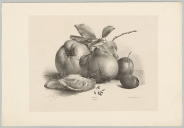 Gyümölcs, szilva és osztriga Flower and Fruit Studies (...) 10. epizód (sorozat címe)