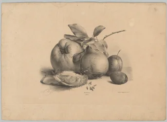 Gyümölcs, szilva és osztriga Flower and Fruit Studies (...) 10. epizód (sorozat címe)