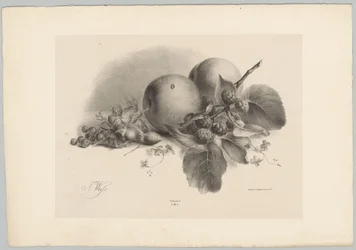 Őszibarack, bogyós gyümölcsök, mogyoró és szeder Flower and Fruit Studies (...) 10. epizód (sorozat címe)