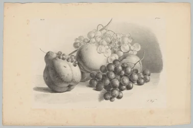 Sütőtök, bogyók, szőlő és őszibarack Flower and Fruit Studies (...) 3. epizód (sorozat címe)