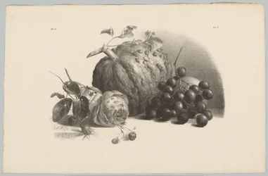 Sütőtök, szőlő, rózsa és eper Flower and Fruit Studies (...) 3. epizód (sorozat címe)