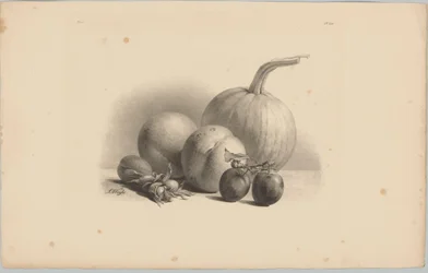 Sütőtök, őszibarack, sárgabarack, szilva és mogyoró Flower and Fruit Studies (...) 3. epizód (sorozat címe)