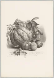 Sütőtök, paradicsom és cseresznye Flower and Fruit Studies (...) 10. epizód (sorozat címe)