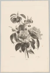 Rózsák és egyéb virágok Flower and Fruit Studies (...) 10. epizód (sorozat címe)