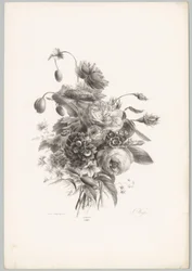 Rózsák és egyéb virágok Flower and Fruit Studies (...) 10. epizód (sorozat címe)