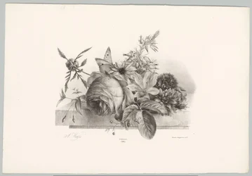 Rózsák, liliomok, harang alakú virágok és pillangó Flower and Fruit Studies (...) 10. epizód (sorozat címe)