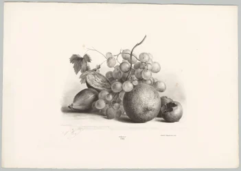 Füge, szőlő és narancs Flower and Fruit Studies (...) 10. epizód (sorozat címe)