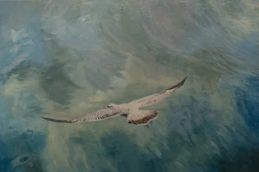 Sirály szárnyak kinyújtva, 2012 (olaj, vászon)