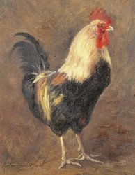 A kakas, 1999