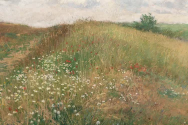 1897 nyarán.