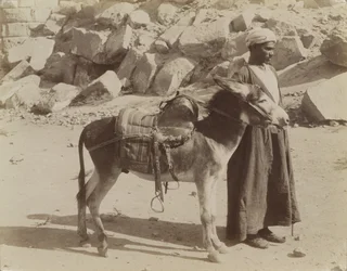 Bourier és Bouriquer, Egyiptom