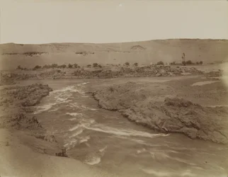 Rapids a Nílusi szürkehályognál, Egyiptom