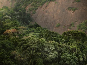 Corcovado XV, 2020 (digitális fényképezés)