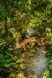 Mantiqueira Ridge, 2021 (fotó)