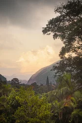 Serra dos Órgãos VIII, Petrópolis, Rio de Janeiro, Brazília, 2025 (fénykép)