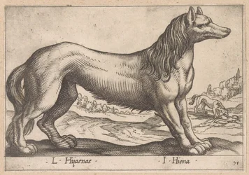 hiéna L Hijanae/ I Hyena (cím a tárgyon) Dieren en fabelwezens (sorozat címe) Nova raccolta de li animali piu curiosi del mondo (sorozat címe)