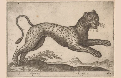 Leopárd L Leopardus/ I Leopardo (cím a tárgyon) Dieren en fablewezens (sorozat címe) A világ legkíváncsibb állatainak új gyűjteménye (sorozat címe)