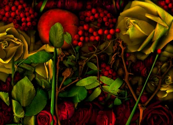 05 magic garden no.36, 2011 (fotó)