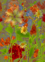 Artfloral no.5 tavaszi beszélgetés, 2016 (fotó)