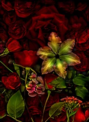 Artfloral no.7, 2015 (fotó)
