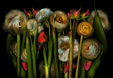 Earthart flora no.3, 2024 (fotó)