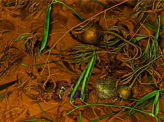 Earthart no.2, 2014 (fotó)