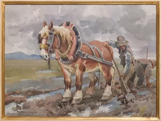 Munka a mezőn