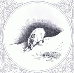 Mountain Hare, kocsma. a Book Club Associates által