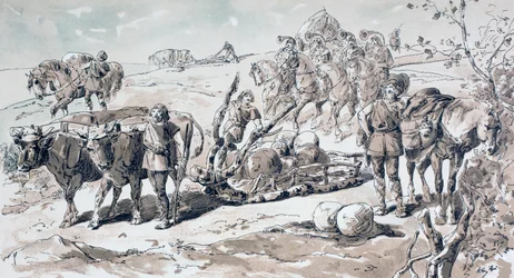 Kövekkel megrakott primitív szánkót rajzoló ökrök, 1886