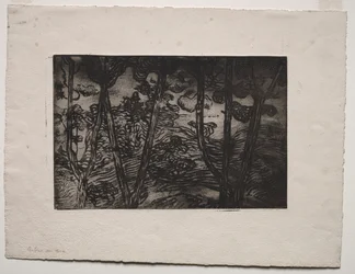 Fák éjjel, c. 1894.