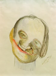 Karikatúra 8