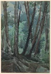 Erdő