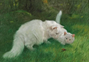 Arthur Heyer Érdekes felfedezés 1923-ban