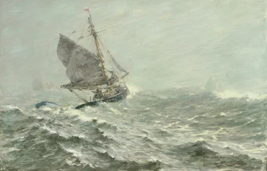 A Fehér Squall