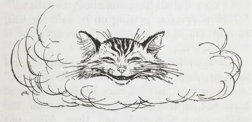 A Cheshire Cat