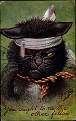 Cat, látnod kéne a másik fickót.
