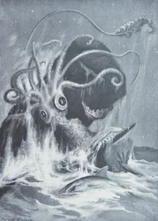 A Kraken vs. sperma bálnák