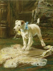 Pajkosság (olaj, vászon)