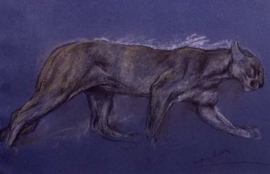 Puma (kréta papíron)