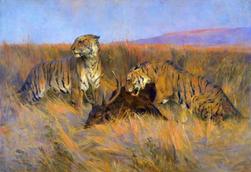 Tigers at Kill (olaj, vászon)