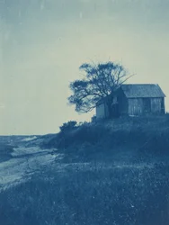 Wellfleet, Cape Cod,1904 (fénykép)