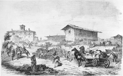 Csata alapvető fuchsin 1859