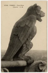 Az 1163 és a 14. század között épült Notre Dame de Paris katedrális vízköpője vagy harangja - Képeslap, Selva gyűjteménye