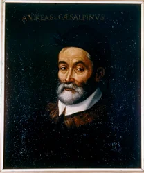 Andrea CESALPINO portréja