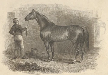 Amerikai napfogyatkozás, 1824.