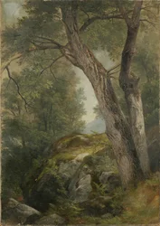 Vajdiófa Hague-ben, Lake George, New York, 1862