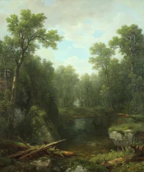 Chapel Pond Brook, Keene Flats, Adirondack-hegység, New York, 1871