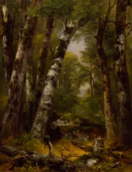 Woodland Glen, kb. 1850-1855.